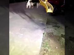 مصنع مخصصة جديدة تماما حفرة مصغرة هيدروليكية دلو المقبض للبيع